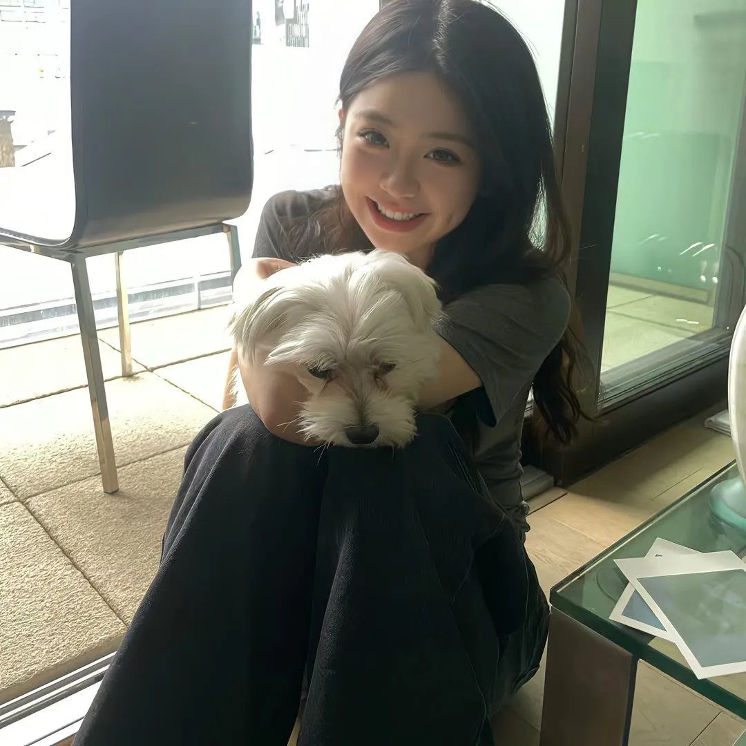 吾家有子初长成封面
